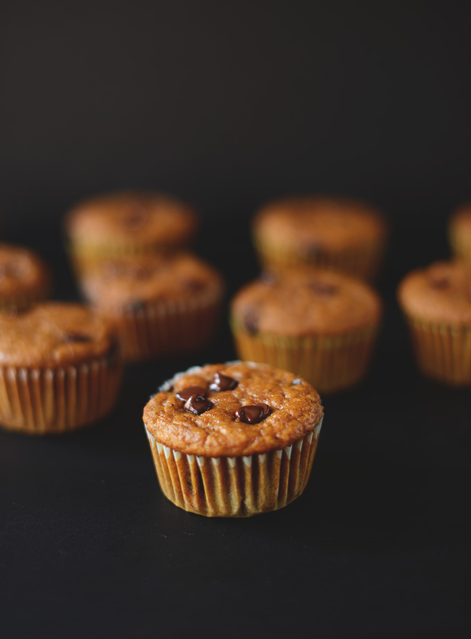 Chocolate Chip Pumpkin Muffins in muffin tin papers