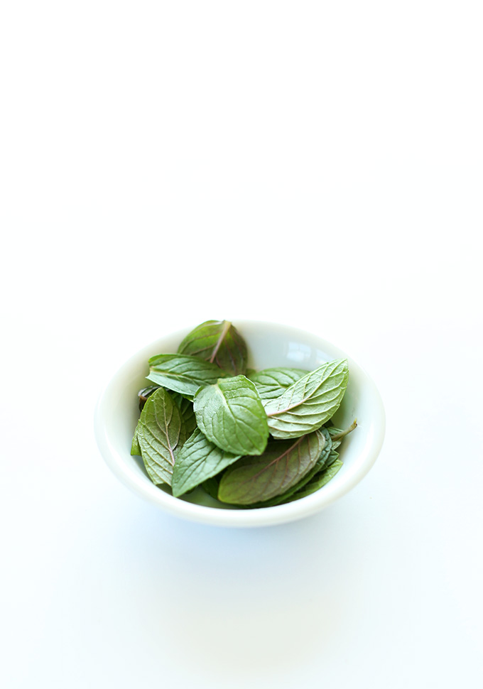Fresh mint leaves for making homemade vegan mint ice cream
