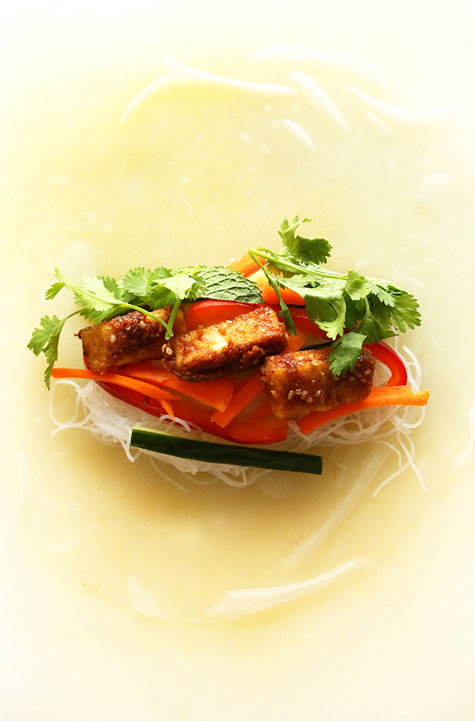 Softened spring roll wrapper topped with rice noodles, vegetables, and tofu for delicious Vegan Vietnamese Spring Rolls