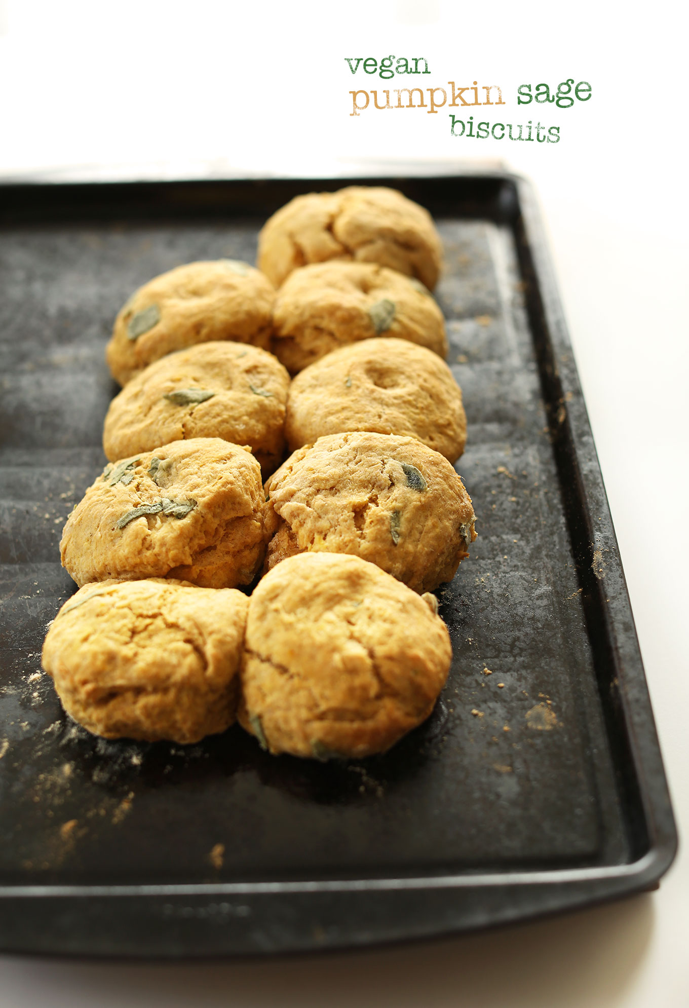 Baking sheet with freshly baked Pumpkin Sage Biscuits