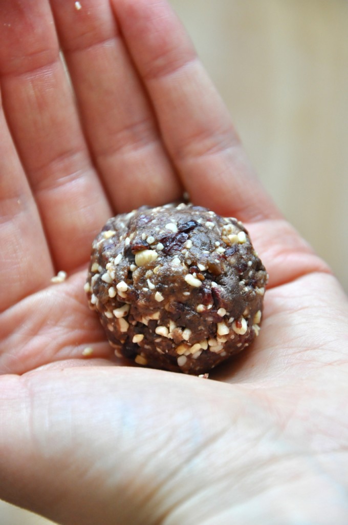 Chocolate Cashew Cookie Larabar Pops #minimalistbaker