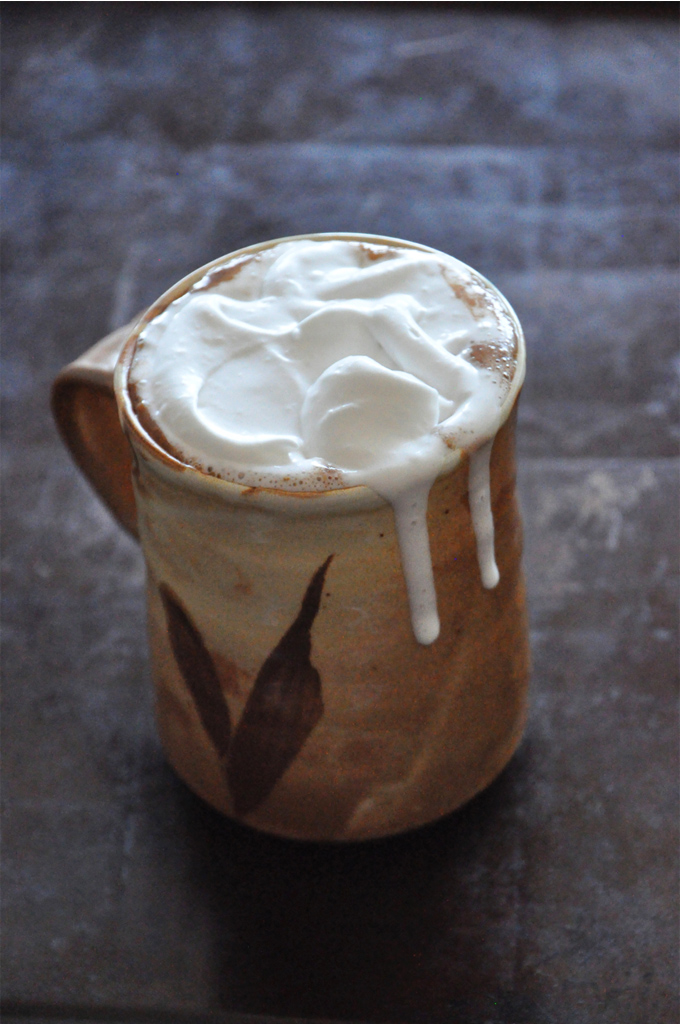 Mug of Mexican Hot Chocolate topped with Coconut Whipped Cream