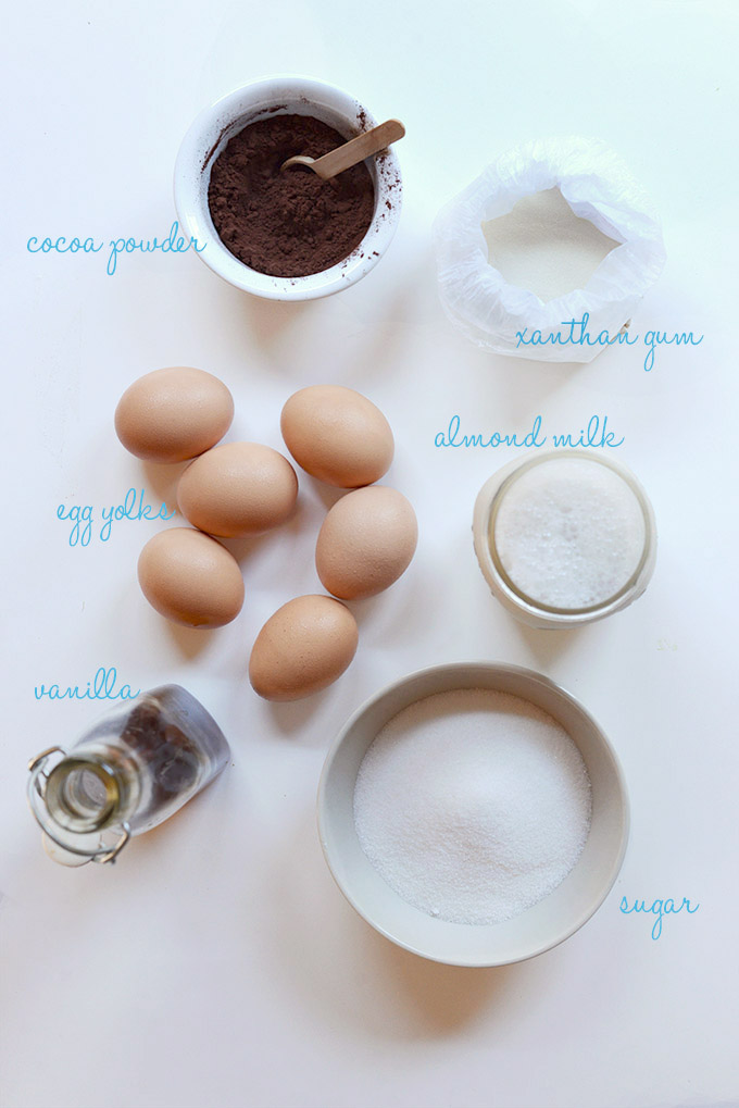 Almond milk, cocoa powder, and other ingredients for making our Dairy-Free Chocolate Ice Cream recipe