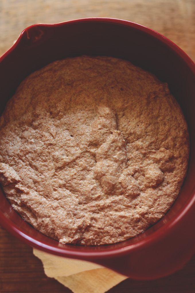 Bowl of rising dough for our Easy Whole Wheat Bread recipe