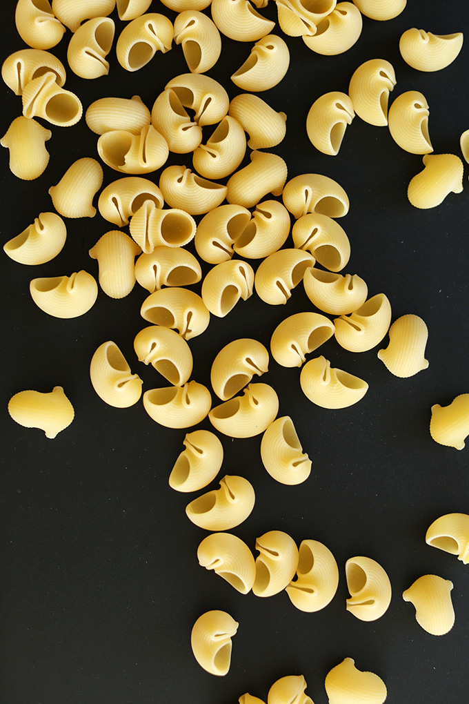 Macaroni shells for making Easy Vegan Mac n Cheese