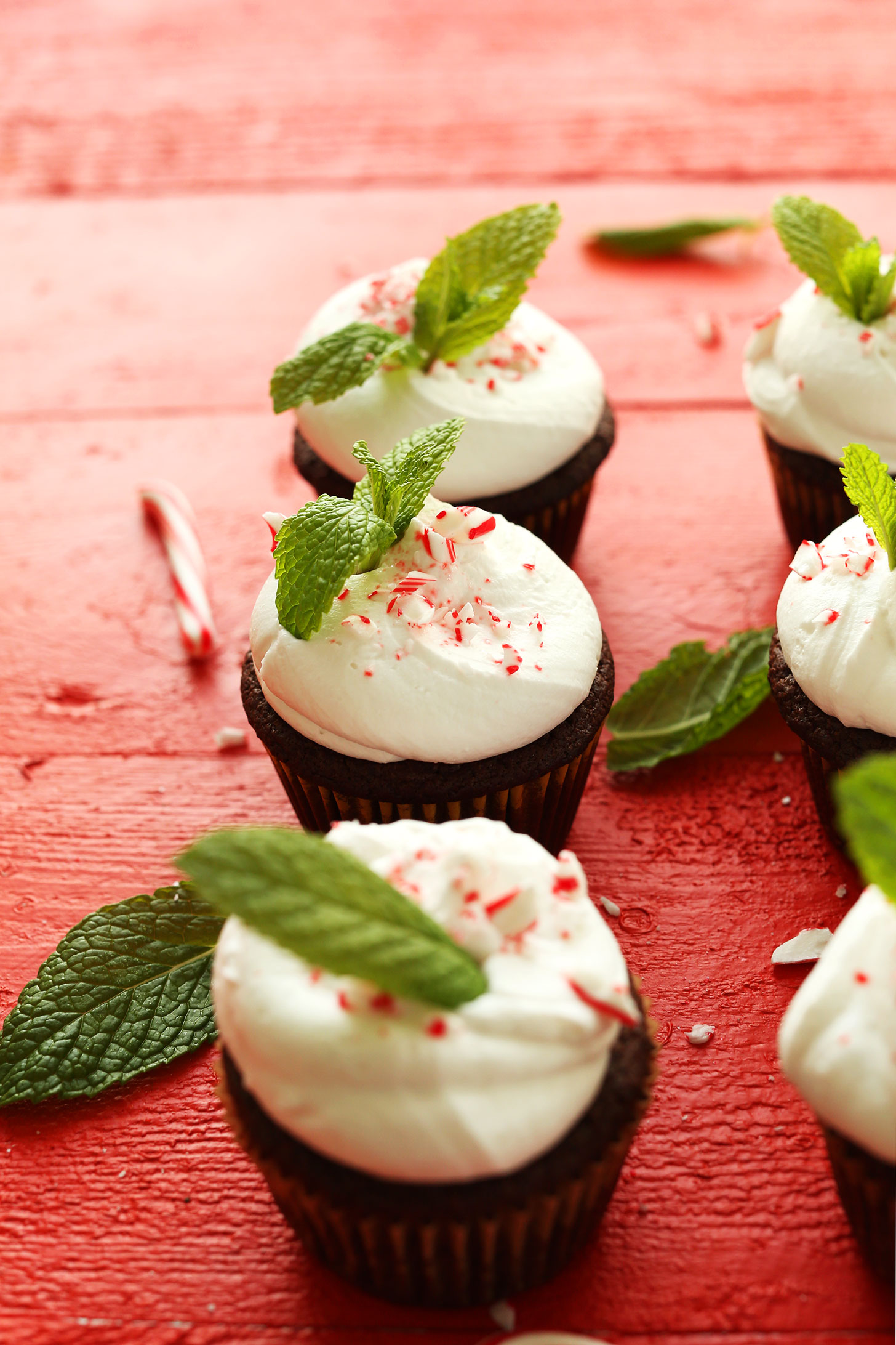 Homemade gluten-free vegan Chocolate Peppermint Cupcakes on a festive red background