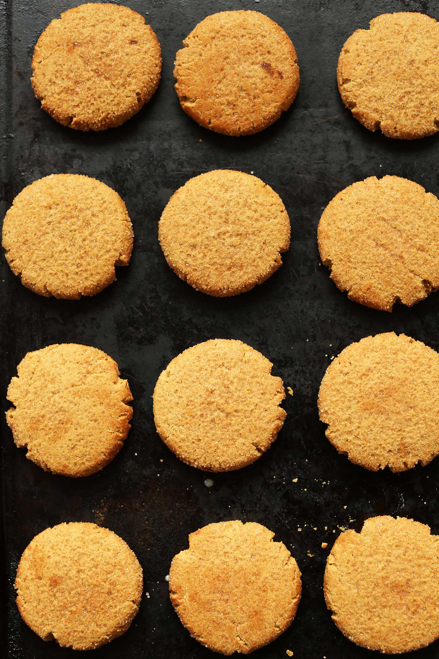 Baking sheet filled with freshly baked gluten-free vegan Ginger Cookies recipe