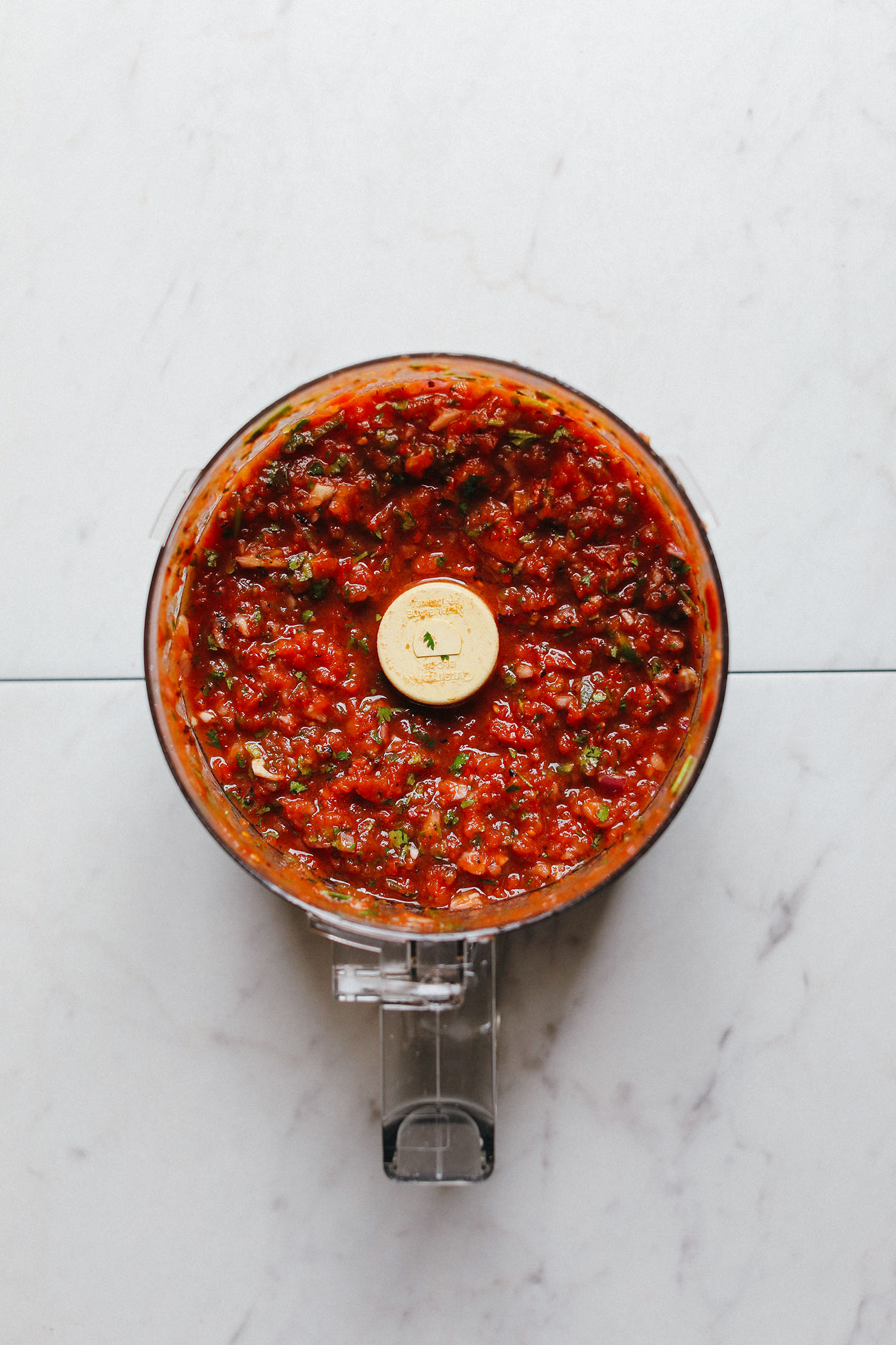 Food processor with freshly blended Perfect Red Salsa