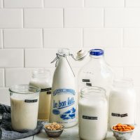 Jugs of non-dairy milk for our Complete Guide to Dairy-Free Milk