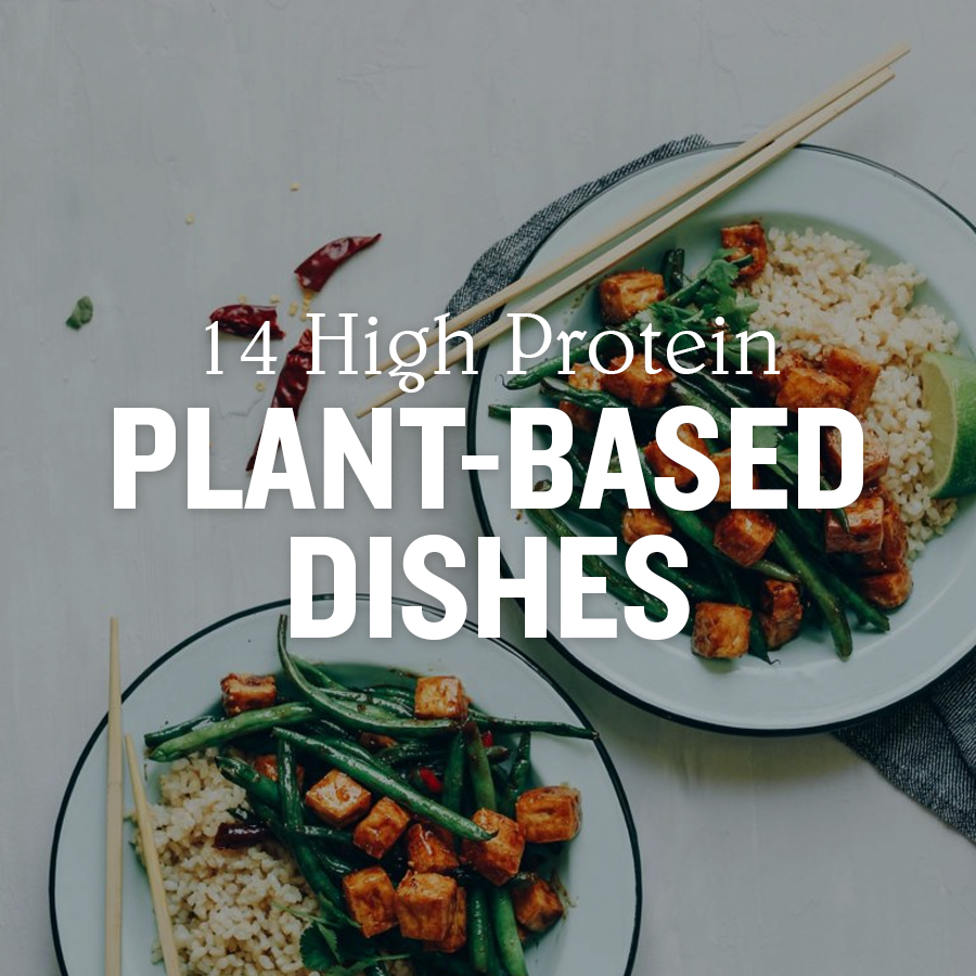 14 High Protein Plant-Based Dishes