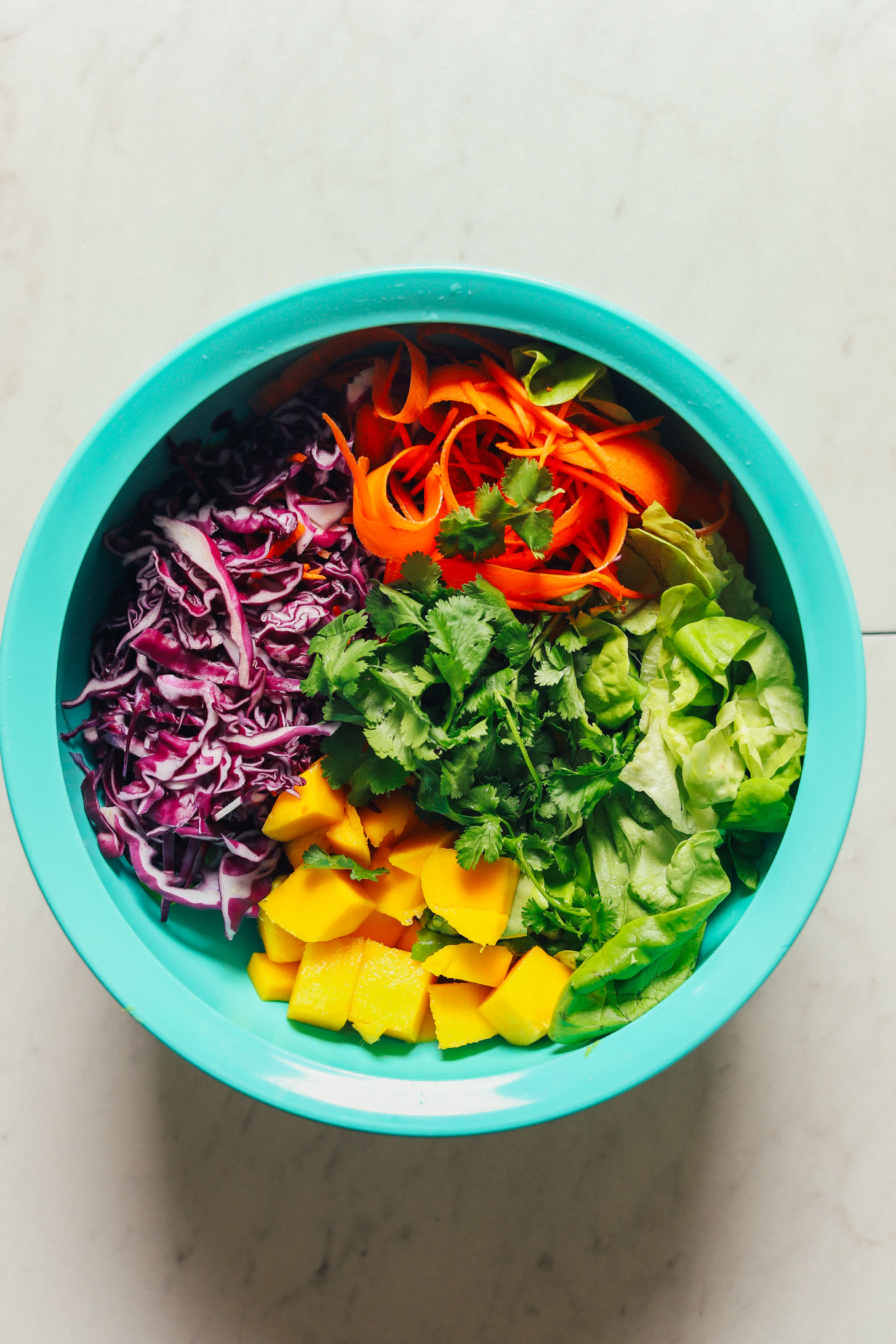 Bowl filled with cabbage, cilantro, mango, carrots, and lettuce for making a delicious gluten-free plant-based salad