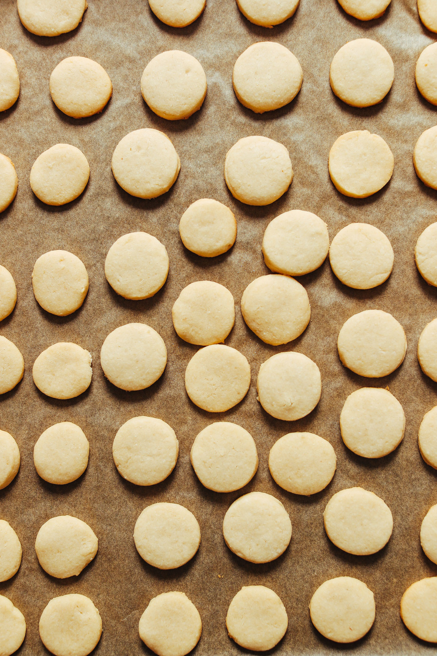Parchment-lined baking sheet with a batch of our Vegan Gluten Free Vanilla Wafers recipe