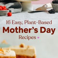 Vegan vanilla cake and carrot cake for our Mother's Day Recipe Roundup