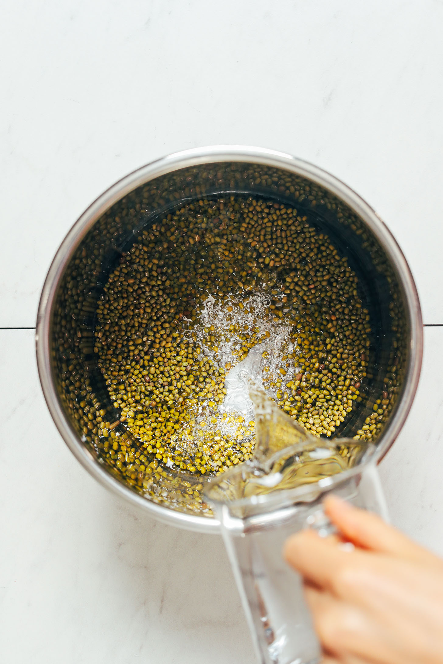 Pouring water into an Instant Pot with green mung beans