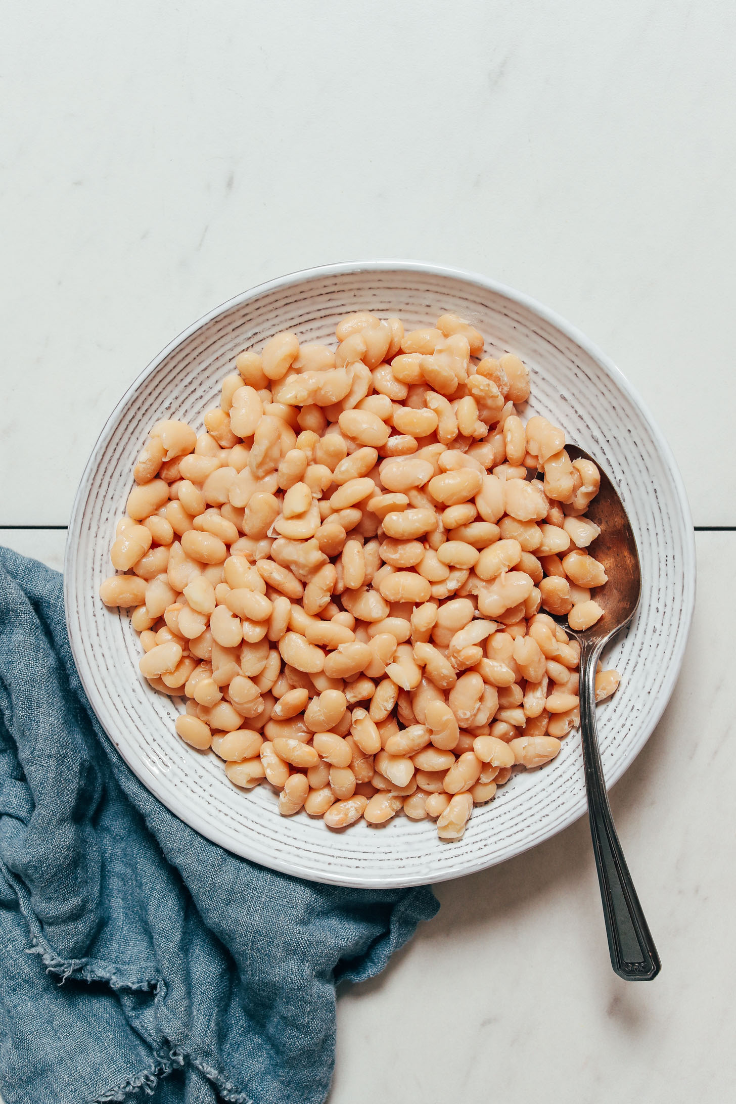 Bowl of perfectly cooked white beans made in the Instant Pot