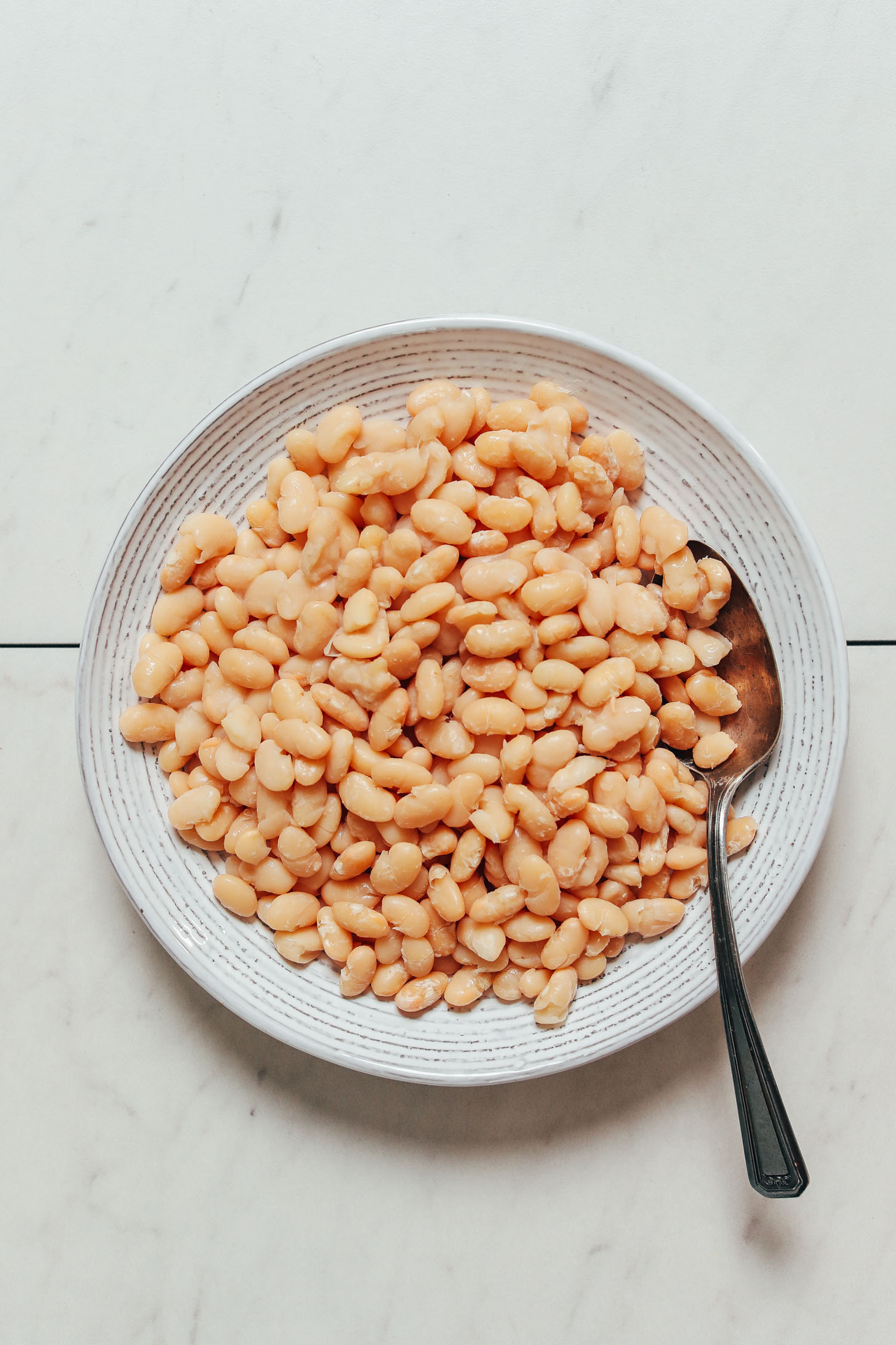 Vintage spoon in a bowl of Instant Pot Great Northern white beans