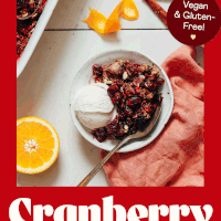 Bowl of vegan gluten-free cranberry crisp next to a baking dish with more crisp