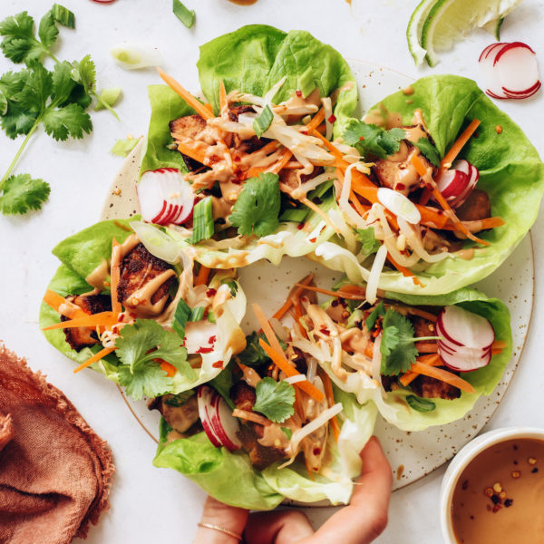 Marinated Peanut Baked Tempeh 