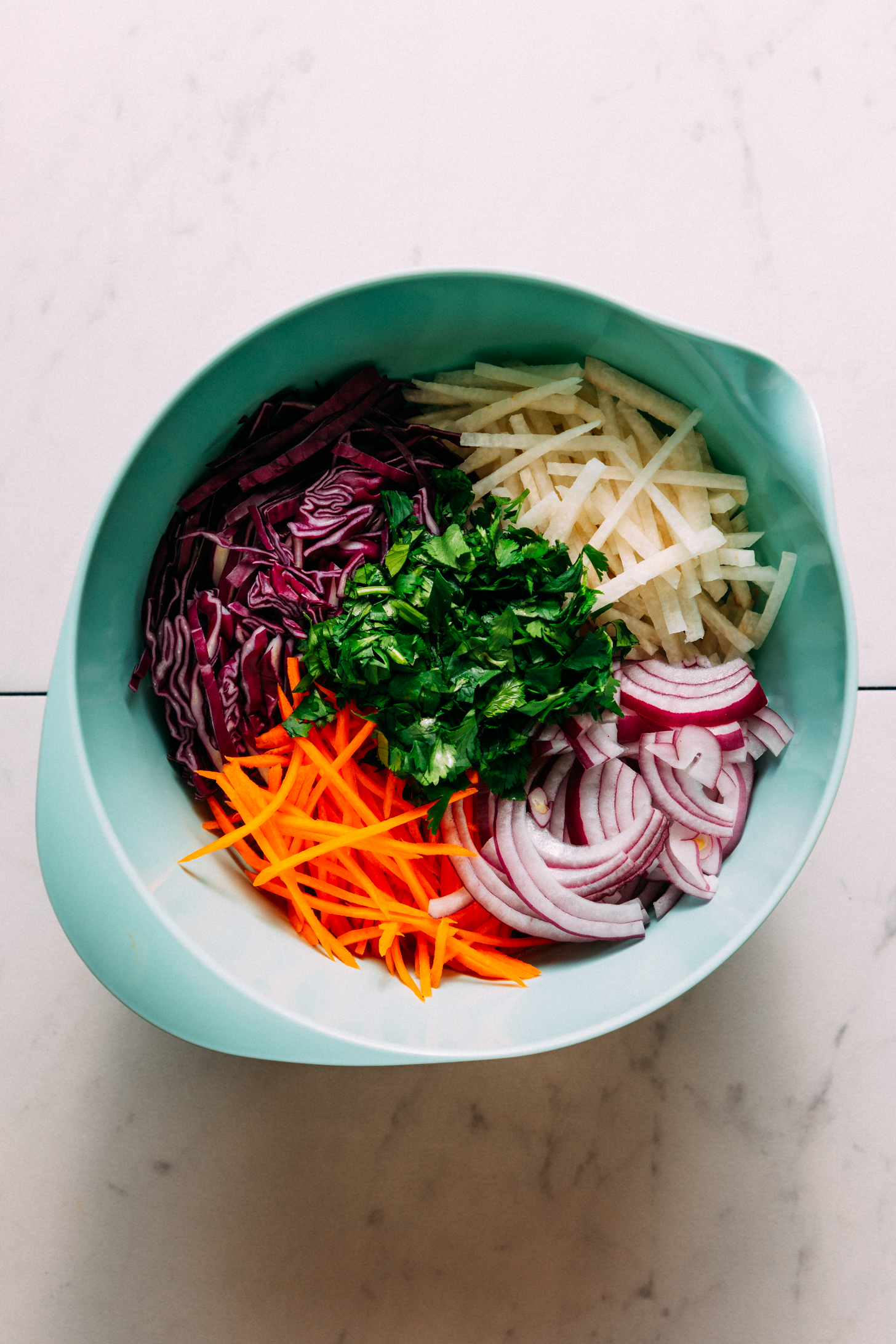 Bowl of chopped jicama, red onion, carrot, cilantro, and red cabbage