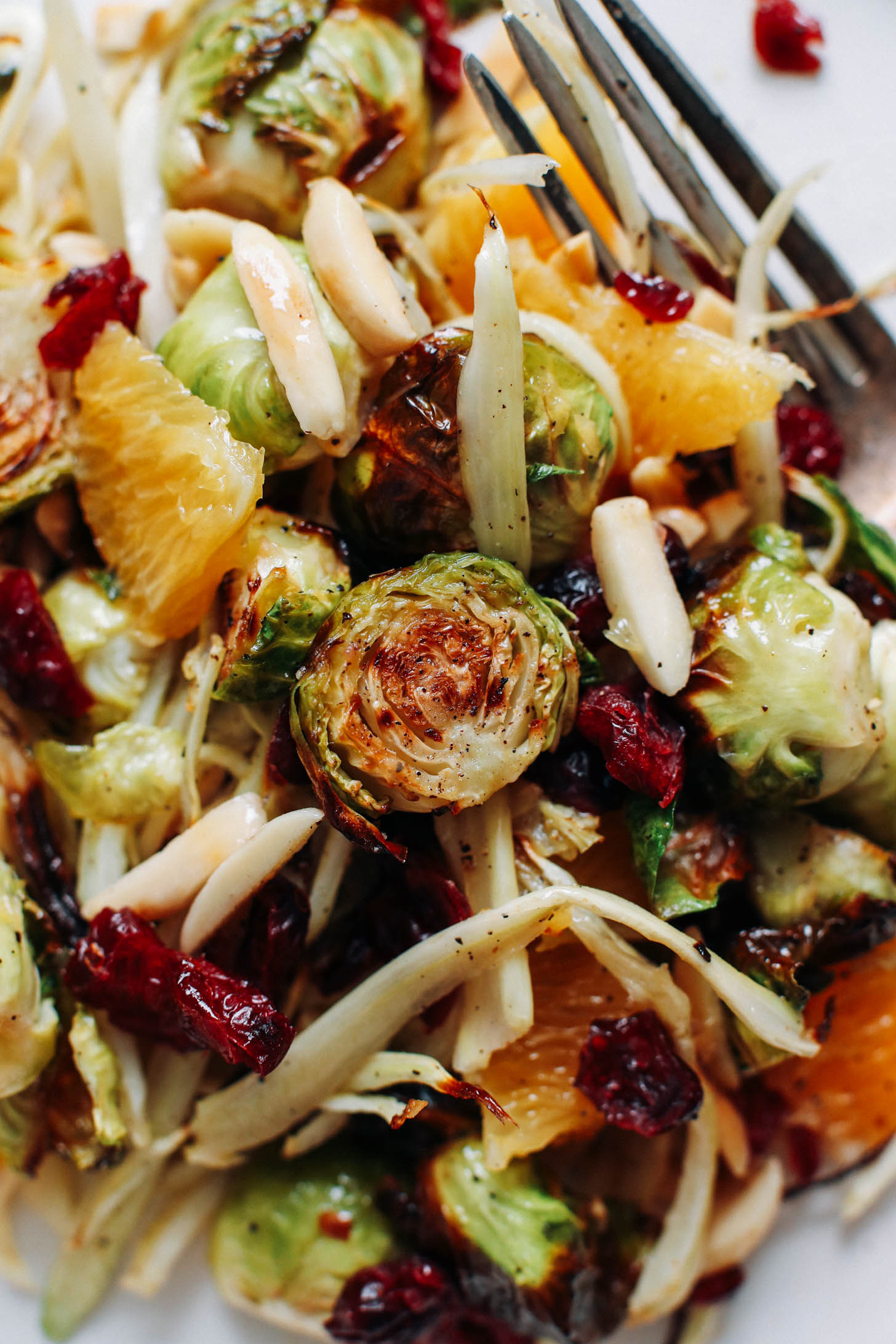 Close up shot of a plate of roasted brussels sprouts and fennel tossed with almonds, cranberries, orange, and dressing