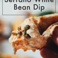 Piece of pita bread with vegan and gluten-free charred serrano white bean dip on it