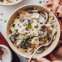 Close up shot of a fork in a bowl of mushroom stroganoff