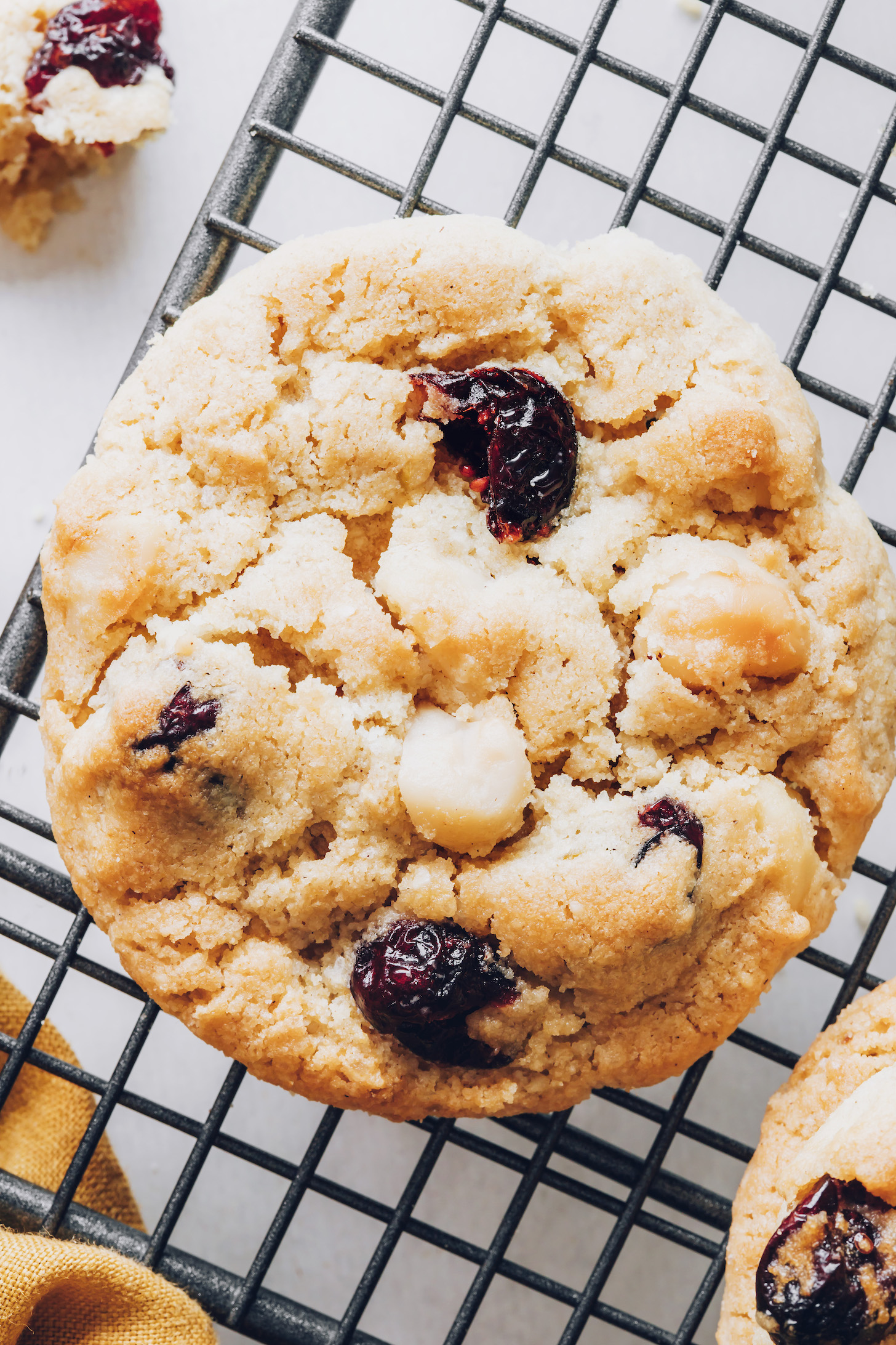 Soft gluten-free and vegan cookie studded with macadamia nuts and cranberries