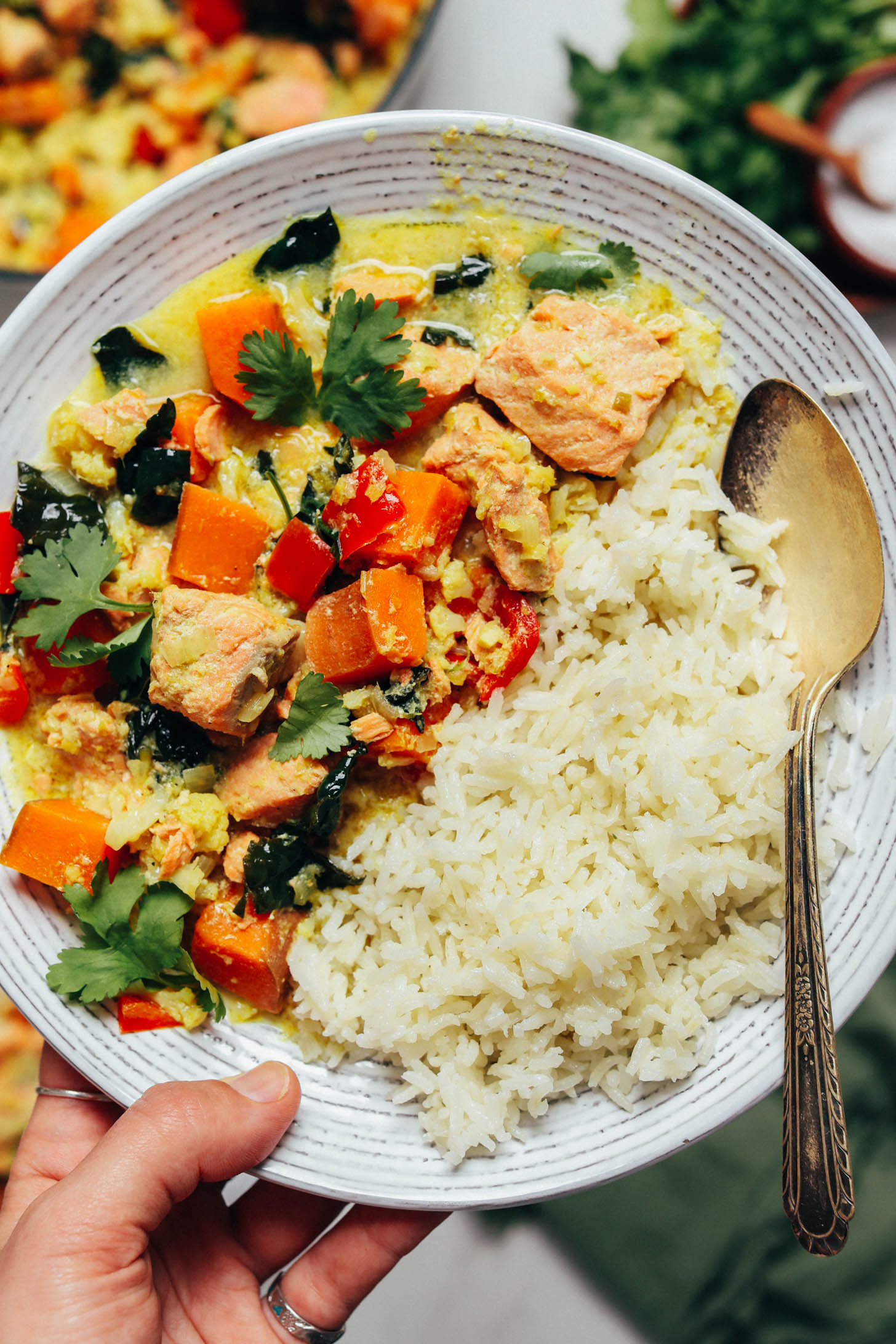 Close up photo of a bowl of white rice and salmon green curry with vegetables
