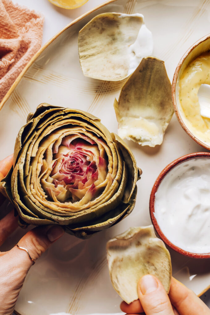 How to Cook and Eat an Artichoke (2 Sauces!)