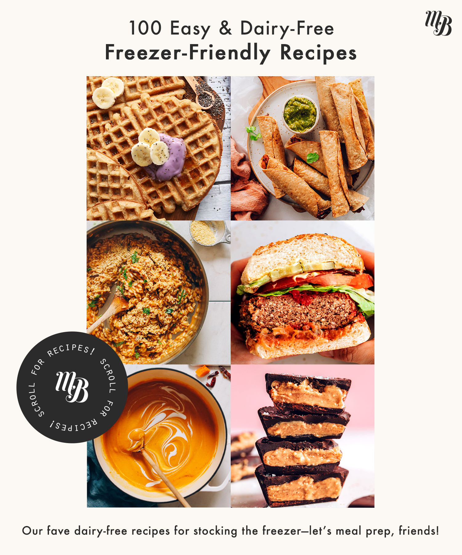 Assortment of easy freezer-friendly recipes