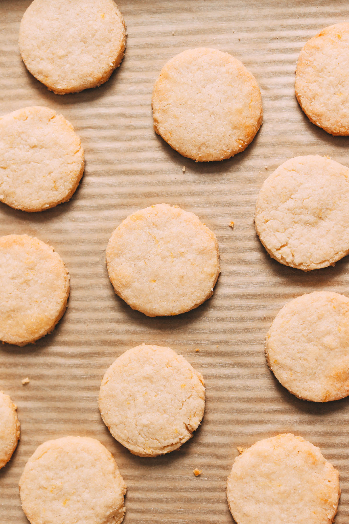 Perfectly browned lemon cookies on a baking sheet