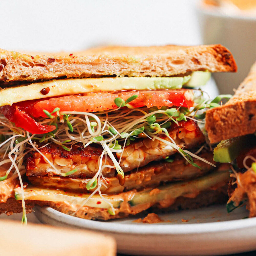 Close up shot of a vegan tempeh and hummus sandwich with fresh vegetables