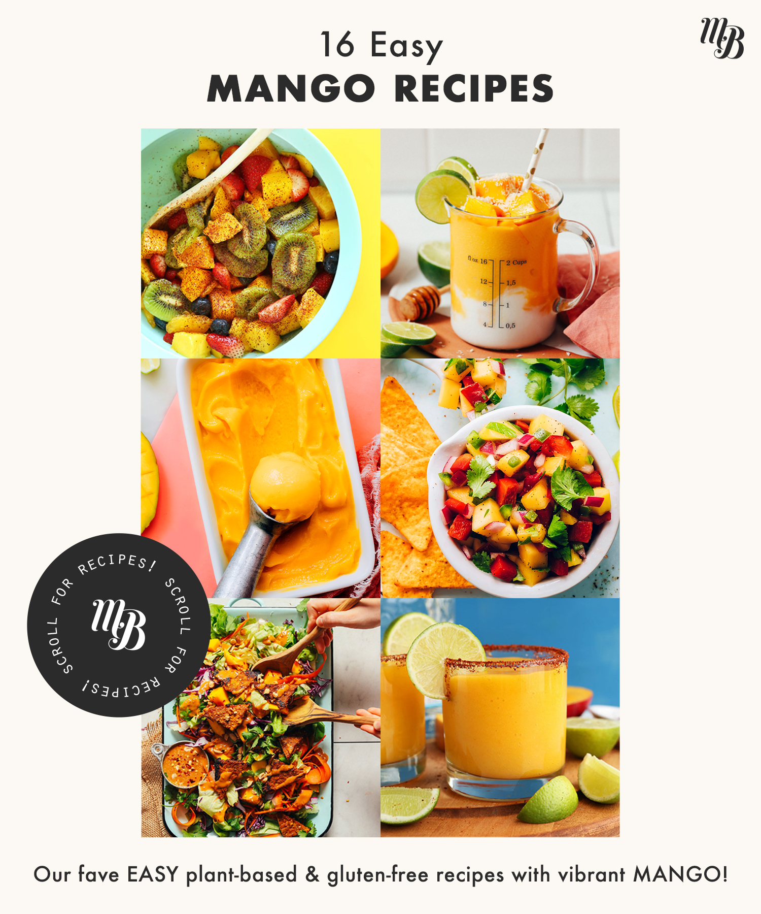 Assortment of recipe photos featuring some of our easy mango recipes