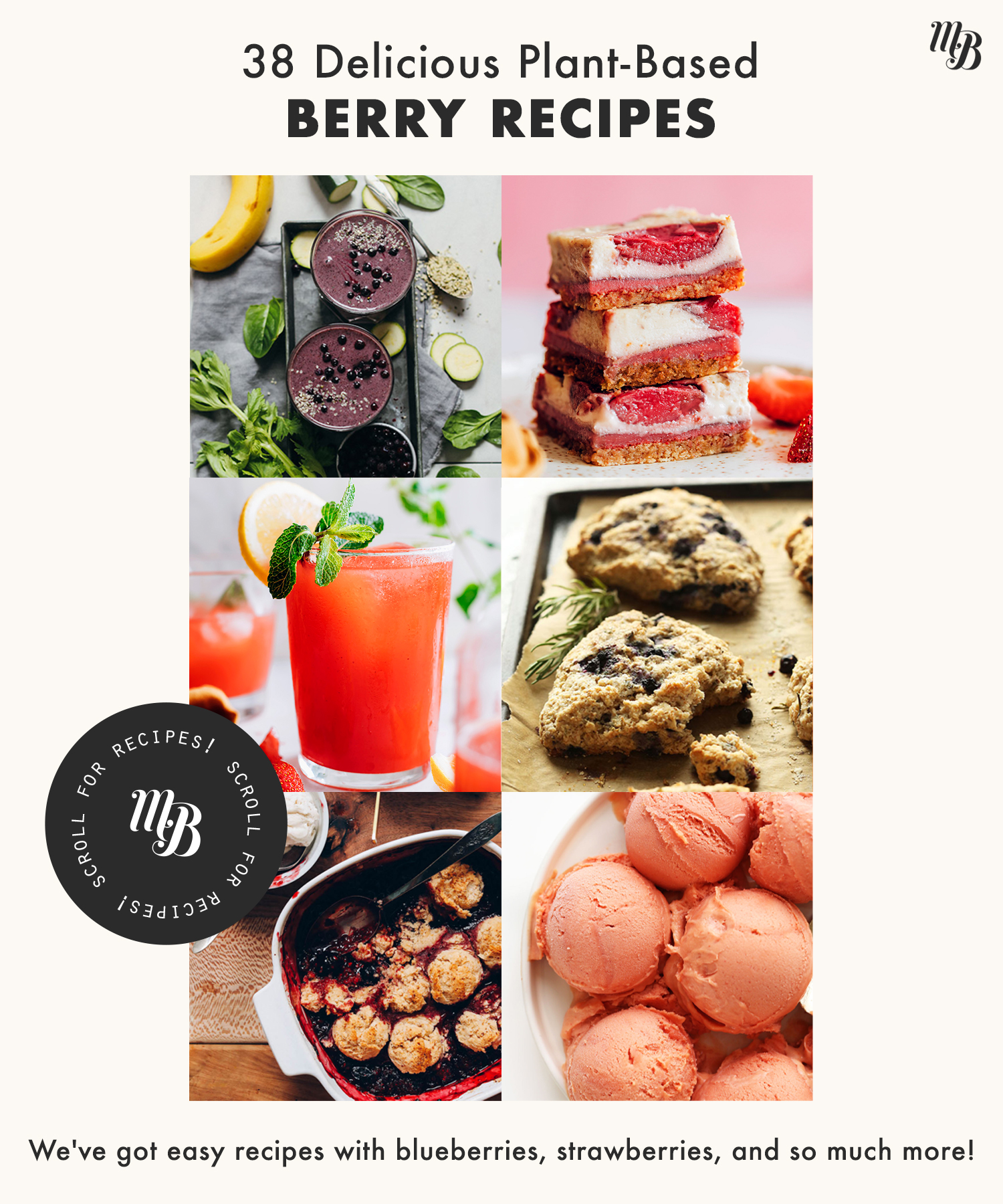 Assortment of plant-based berry recipes