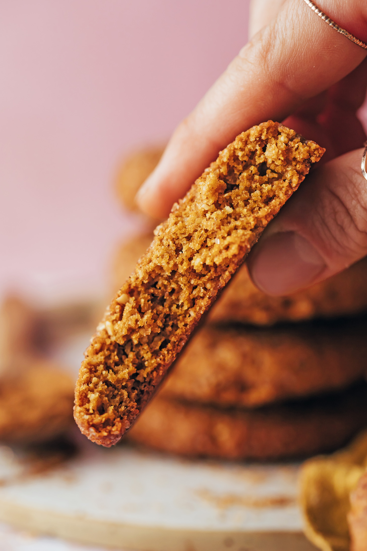 Tenant un biscuit snickerdoodle à la citrouille partiellement mangé pour montrer la texture intérieure