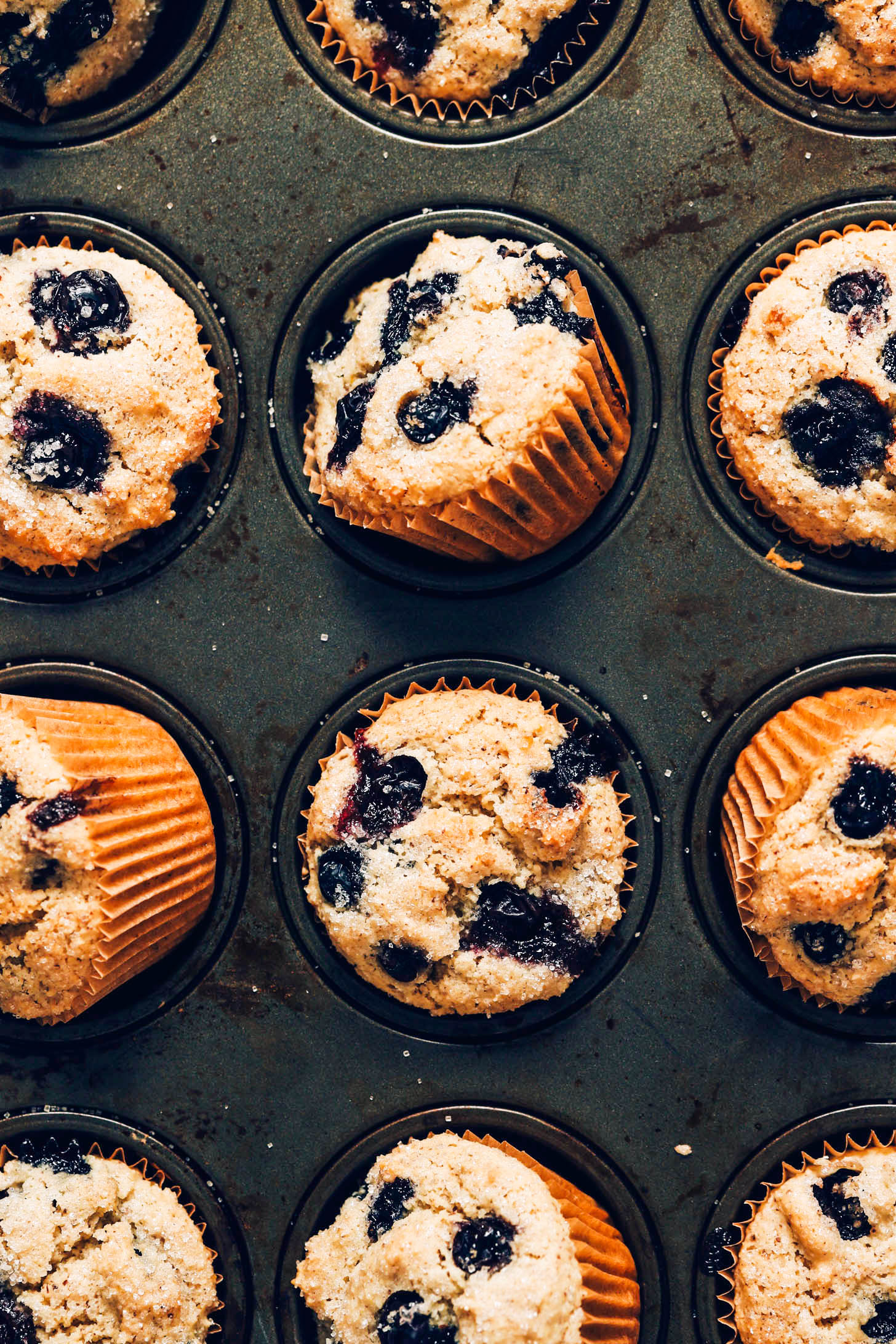 Muffin tin with cooked blueberry muffins