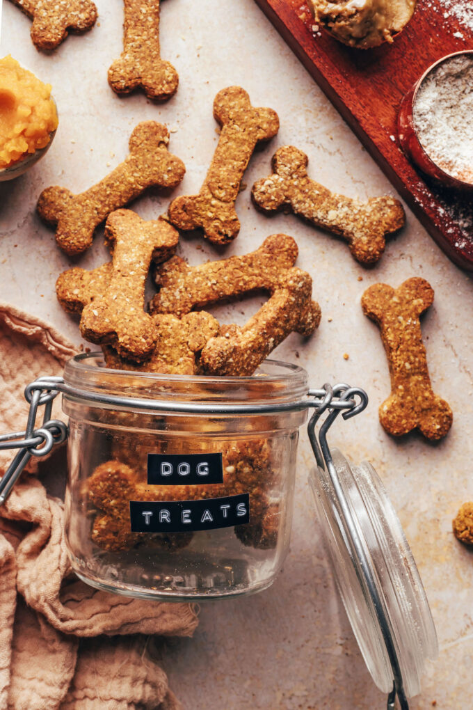 Easy Peanut Butter Pumpkin Dog Treats (3 Ingredients!) - Minimalist Baker