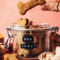 Holding a homemade dog treat over a jar with more treats