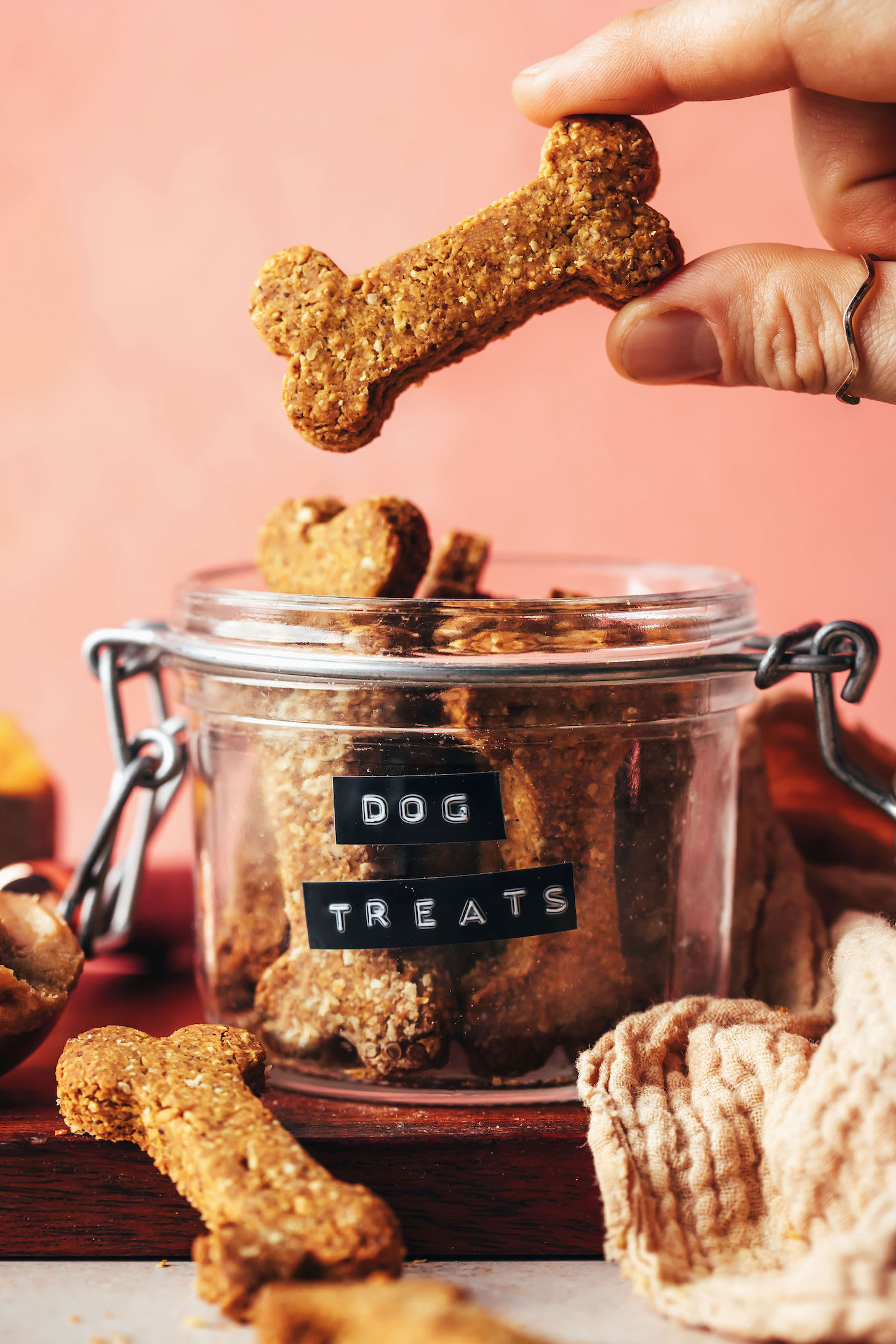 Holding a peanut butter pumpkin dog treat above a jar with more treats