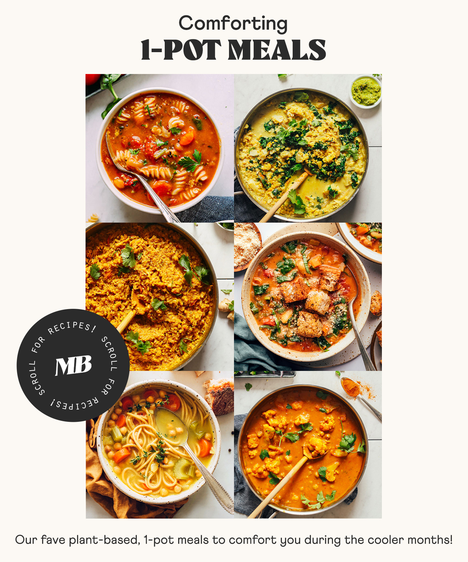 Images of comforting 1 pot meals