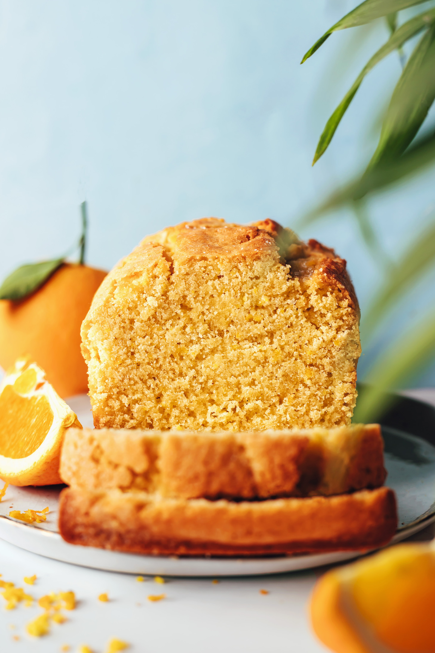 신선한 오렌지로 둘러싸인 글루텐 프리 오렌지 아몬드 케이크의 부분 슬라이스 덩어리