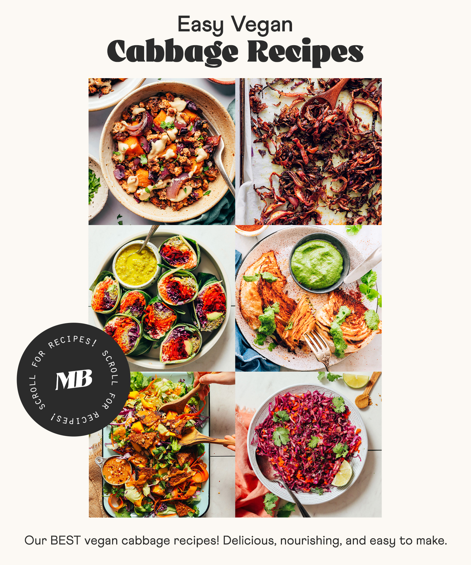 Image of easy vegan cabbage recipes