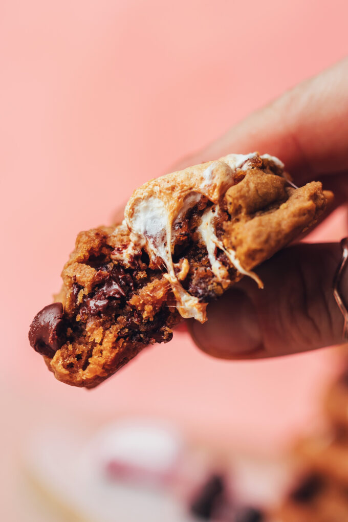 1-Bowl Vegan S’mores Cookies