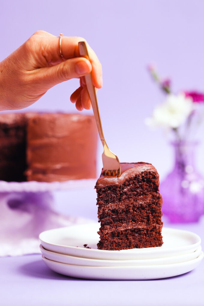 The BEST Gluten-Free Chocolate Cake (Vegan, 1 Bowl!)