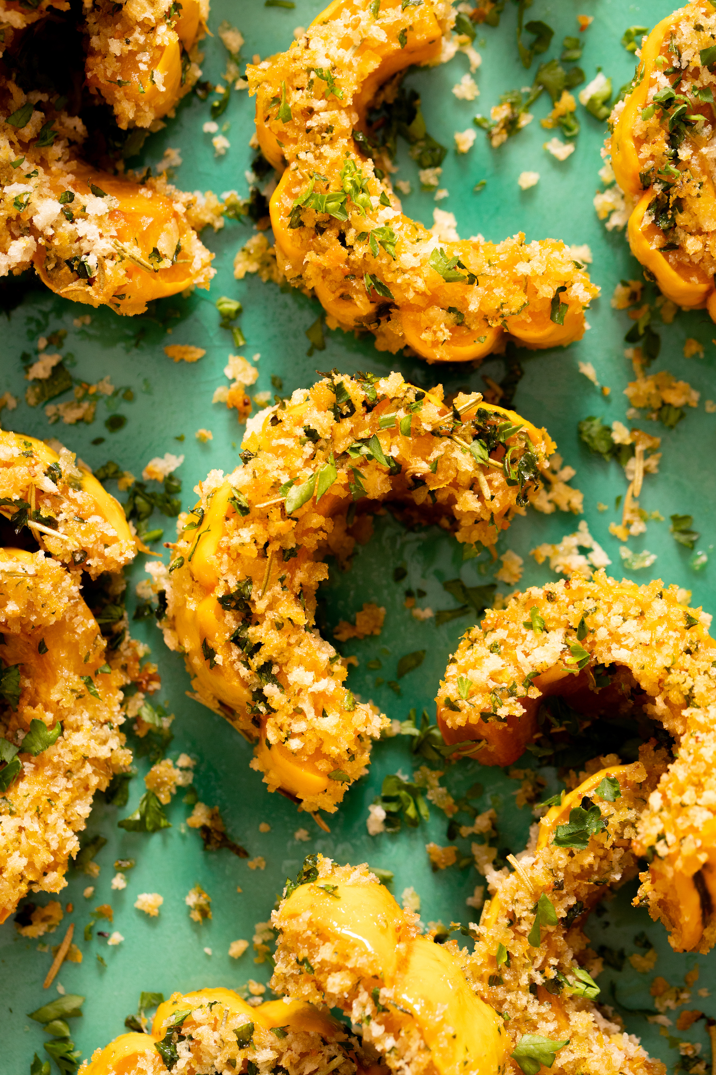 Close up photo of roasted delicata squash coated a garlic & herb breading