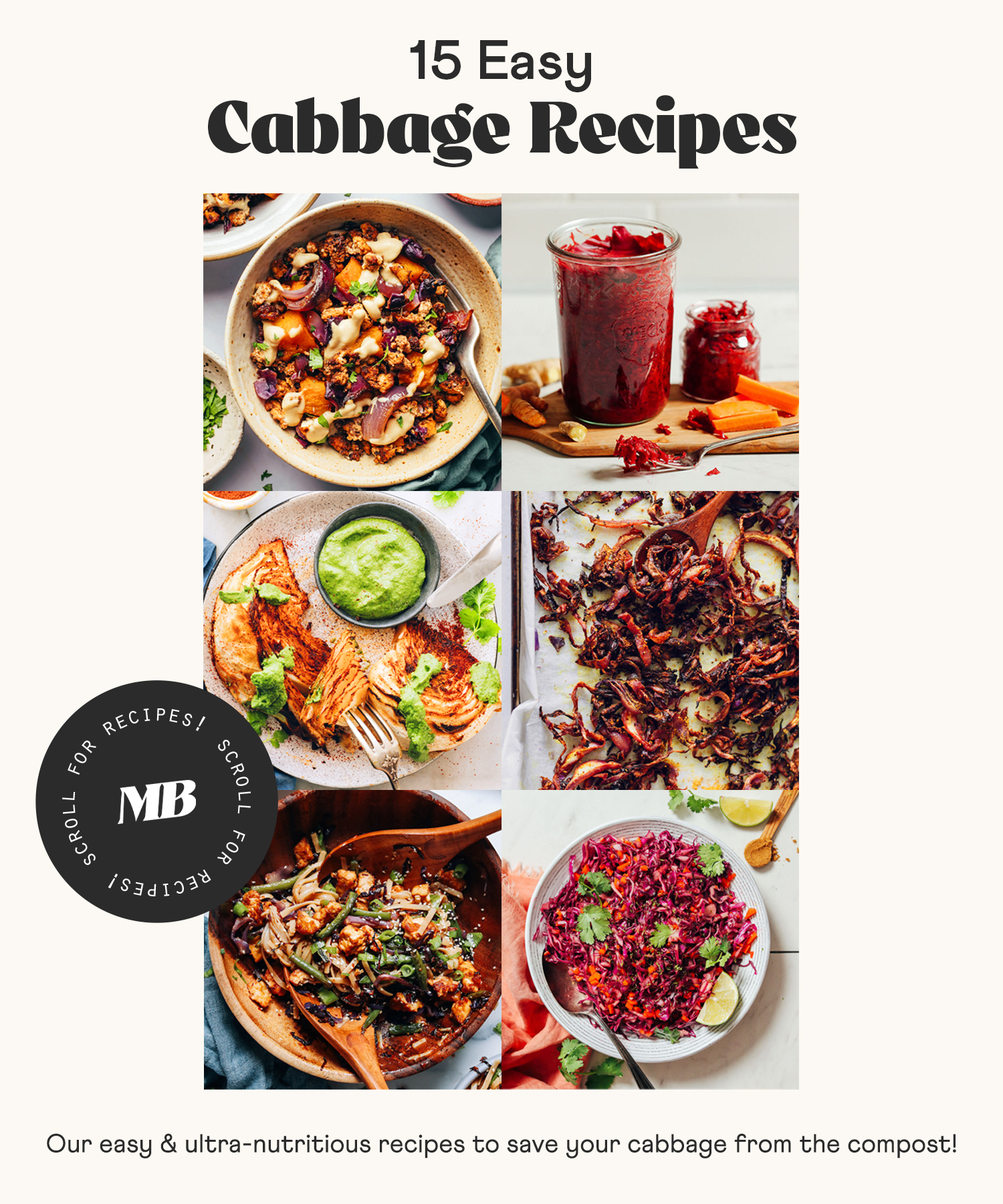 Photos of some of our easy cabbage recipes that use a lot of cabbage