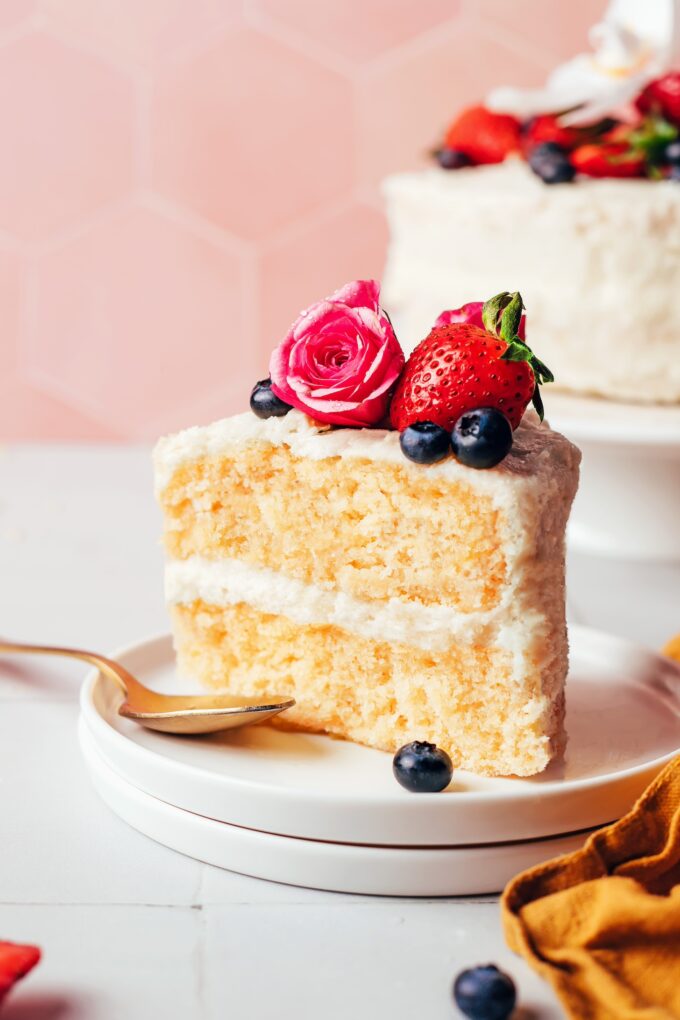 The BEST Gluten-Free Vanilla Cake (1 Bowl!)